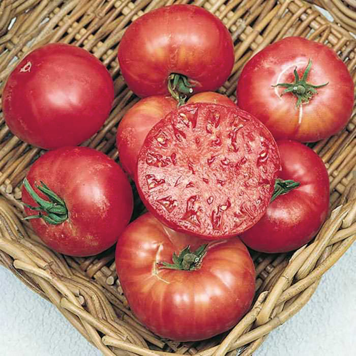 Tomato - Mortgage Lifter